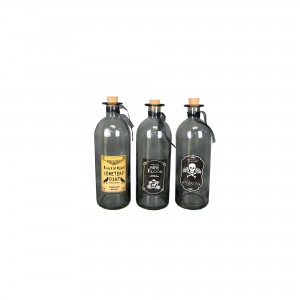 The Holiday Aisle Witch Ingredient 3 Piece Decorative Bottle Set THDA6410